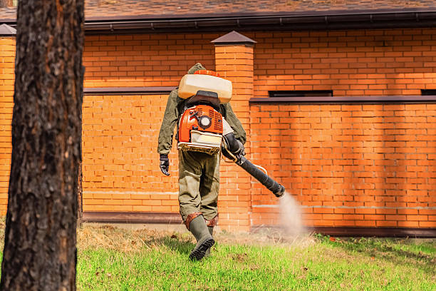 Trusted Termite Control service in Norwalk, IA - Nex Pest Control